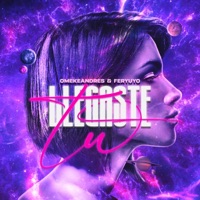Llegaste Tu (feat. Feryuyo) - Single - OmekeAndres