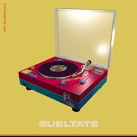 Sueltate - Single - BF BUDDHAA