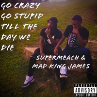Go Crazy Go Stupid Till the Day You Die (feat. SuperMeach & Brockman) - Single - Mad King James