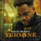 Terminé - Mich-Berry lyrics