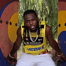 聆聽 Roman Zolanski、觀看音樂影片、閱讀小傳、查看巡演日期等！