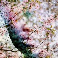 SpringFever - Single - Lvposeidon