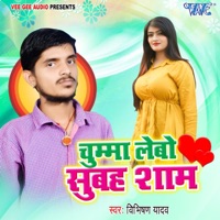 Chumma Lebo Subha Shaam - Single - Vibhishan Yadav