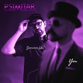 Someone Like You (Radio Edit) Psimitar