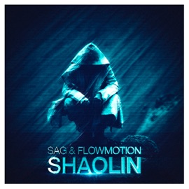 Shaolin SAG & Flowmotion