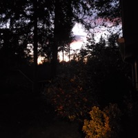 Antiquity - Single - Akira Gautama