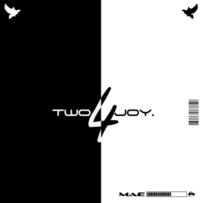 Two 4 Joy - Single