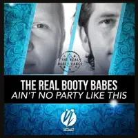 aint no party like this (radio edit) — the real booty babes