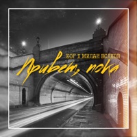 Привет, пока (feat. Милан Волков) - Single - Kof