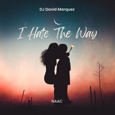 I Hate the Way - Single