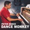 Dance Monkey - Peter Bence lyrics