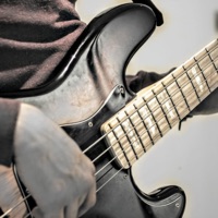 Alerta - Single - Crey