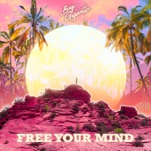 Big Gigantic;Jennifer Hartswick - Free Your Mind