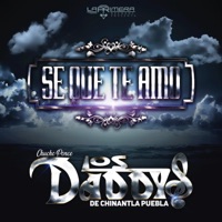 Chucho Ponce Los Daddys de Chinantla - Corazón Enamorado