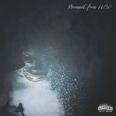 Listen to Paranoid, From 11/30 by Aries Amir