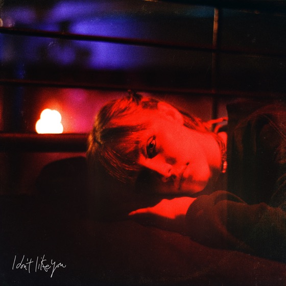 Cover artwork for I Don't Like You