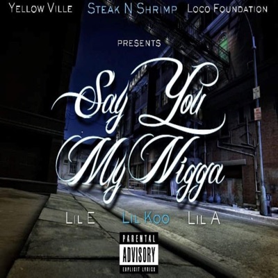 Say You My Nikka (feat. Lil Koo & Lil E) - Single