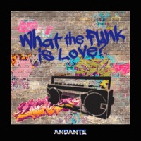 What the Funk Is Love - EP - Andante