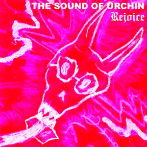 The Sound Of Urchin