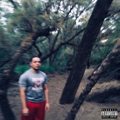 Fake Shit - Single