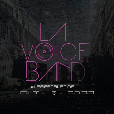 Si Tu Quieres - Single