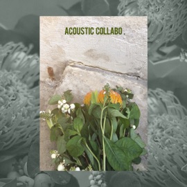 Think About You Acoustic Collabo