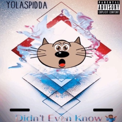 Didn't Even Know - Single
