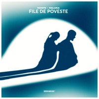 FILE DE POVESTE