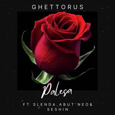 Palesa (feat. Slenda, Abut'Neo & Seshin) - Single