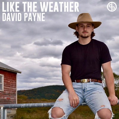 Like the Weather - Single