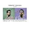 Mind of the Wonderful (with Elles) [Martin Roth Remix V2 Short Cut] - Blank & Jones