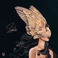 Signature - Musumeci & Lehar