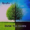Dusk Till Dawn - Single