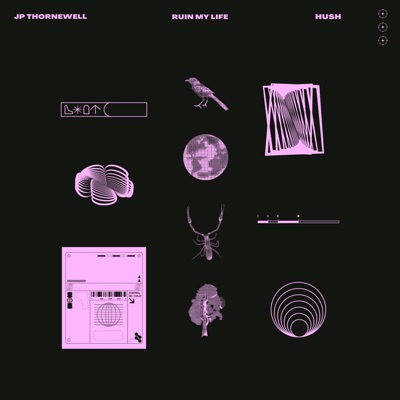 Ruin My Life - Single