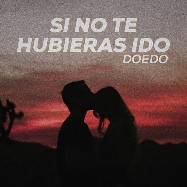 Si No Te Hubieras Ido