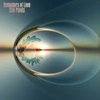 Silk Plants — Remasters Of Love