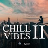 Chill Vibes II