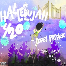 Boy You So Crazy (Slowed & Slashed) Corey Patrick