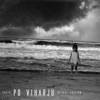 Po Viharju (Deluxe Edition)