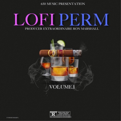 Lofi Perm, Vol. 1
