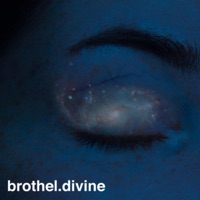 Smug (feat. Divine) - Single - Brothel