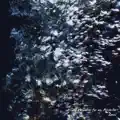 Abyssal
