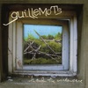 Guillemots