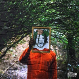 Be Me / Intune ROYOS