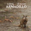 Armadillo - Single