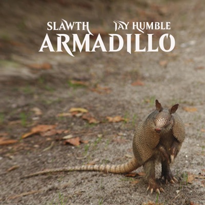 Armadillo - Single