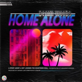 Home Alone Denimwoods