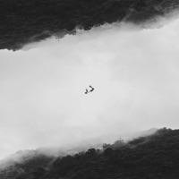 Maltex - Endless