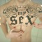 My Sex (feat. Pussy Riot, MNDR & Mykki Blanco) - Brooke Candy lyrics