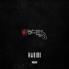 HABIBI by Rozh iTunes Track 1